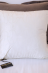Logo Furnishing Cushion Roberto Cavalli
