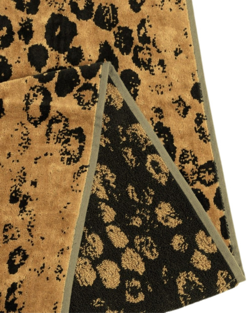 Jaguar 2024 sheet Roberto Cavalli