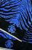 Towels 2 pcs. Mirror Zebra Roberto Cavalli
