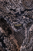 Python Hooded Bathrobe Roberto Cavalli