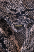 Hooded Bathrobe Python Roberto Cavalli